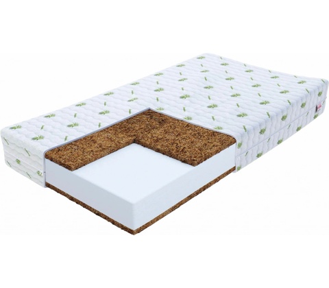 Wilsondo Rudy