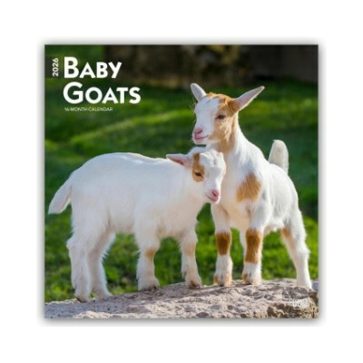 Baby Goats Ziegenbabys 16-Monats 2026