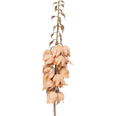 Dekorace umělá květina Yucca s lososovými květy - 12*12*100 cm - Clayre & Eef