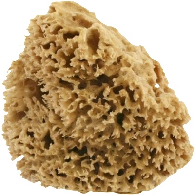 Cose della Natura Honeycomb - натурална гъба - Медиум, 8-10 г