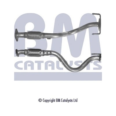 BM CATALYSTS BM50161