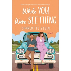While You Were Seething (ISBN: 9781035038190)