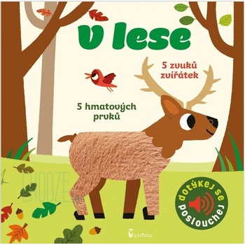 V lese