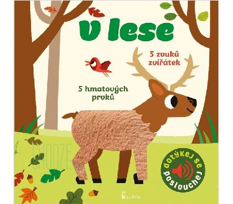 V lese