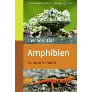 Taschenatlas Amphibien | Friedrich-Wilhelm Henkel, Wolfgang Schmidt (2011)