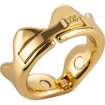 Sevanda Ring of Kings Glans Ring L