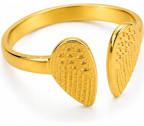 Glanzio Prsteň Golden Wings 87607