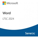 Microsoft Word LTSC 2024 (DG7GMGF0PN41-0002)