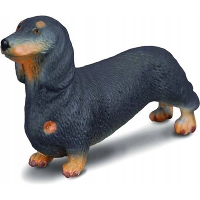 Collecta Jezevčík