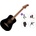Fender California Standard Redondo Mini Premium SET Black Акустична китара