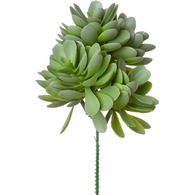 ZÁPICH ECHEVERIA ZELENO-SIVÁ 19CM