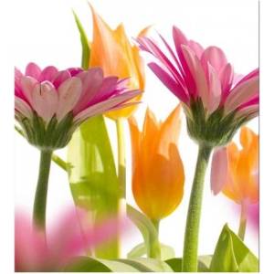 DIMEX ART Флизелинов фототапет пролетни цветя 225 x 250 см