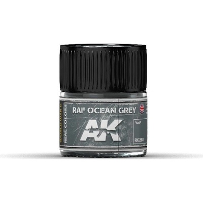 AK Real Colors RAF Ocean Grey 10 ml.