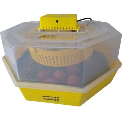 CLEO Инкубатор CLEO 5 Simple