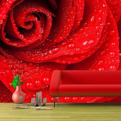 Tapeta SABLIO Květ růže, rozměry 208x125 cm