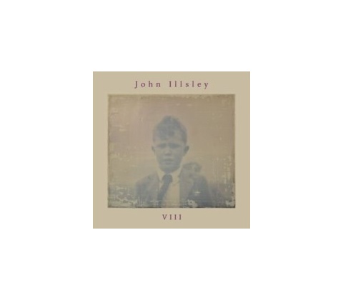 VIII - John Illsley CD