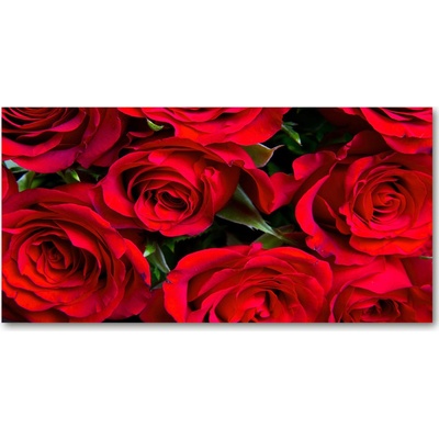 Foto obraz sklo tvrzené červené ruže 100x50 cm