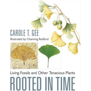 Rooted in Time - Living Fossils and Other Tenacious Plants (ISBN: 9781421449388)