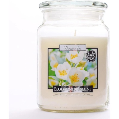 BISPOL Blooming Jasmine 500 g