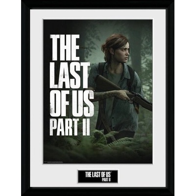 The Last of Us Part II - Ellie - plagát v ráme - 30 x40 cm, PFC3367