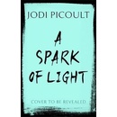 A Spark of Light
