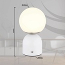 GLOBO 21006W