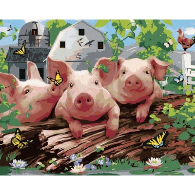 zuty Malování podle čísel Prasátka na farmě a motýli Howard Robinson 80 x 100 cm vypnuté plátno na rá 8596530061717
