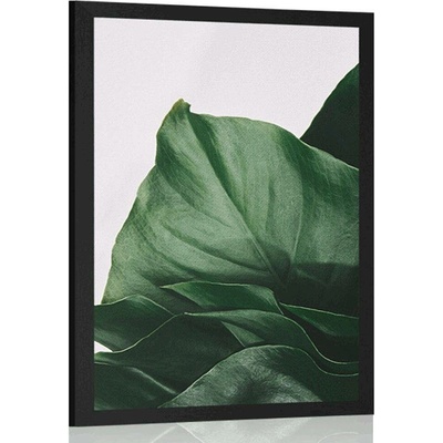 Plakát okouzlující list monstery - 30x45 silver