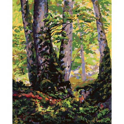 zuty Malování Podle Čísel Tři Buky Paul Ranson 80 x 100 Cm Plátno