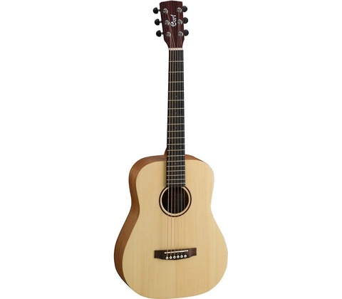 Cort Earth Mini