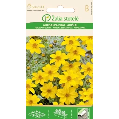 Seklos Биденс Жълт Bidens aurea