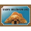 Dafiko Tabulka kokršpaněl americký ležící