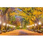 DIMEX ART Флизелинов фототапет централен парк през есента 375 x 250 см