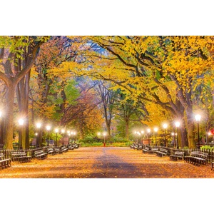 DIMEX ART Флизелинов фототапет централен парк през есента 375 x 250 см