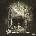 Korn - Take a Look In the Mirror (Reissue) (2 LP) (0190758439914)