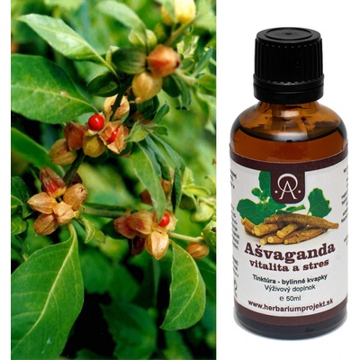Herbarium Projekt Ašvaganda vitalita a stres tinktúra 50 ml