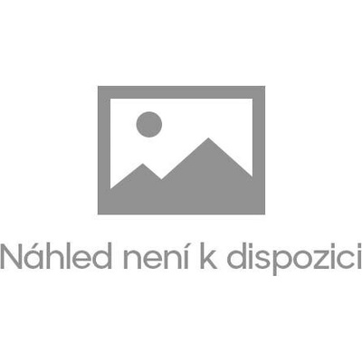 Dva generálové - Čeští vlastenci z jedné majdalenské chalupy - Kos Vladimír