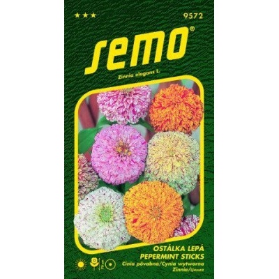 Cínia pôvabná pepermint sticks 0.5g SEMO