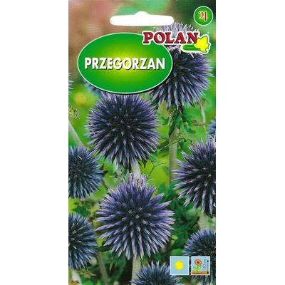 Prehortan obyčajný MEDOVITÁ RASTLINA semená kvitnúce 1g POLAN