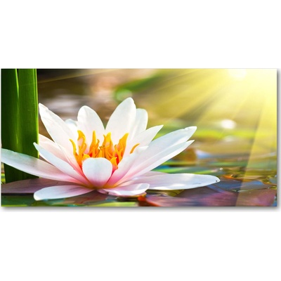 Foto obraz sklo tvrzené tropické lístím 100x50 cm