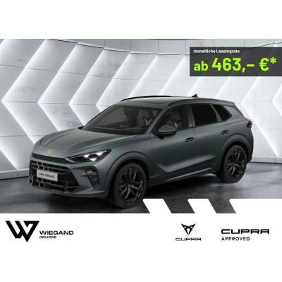 Cupra Terramar 2.0 TSI 4Drive DSG 195 kW