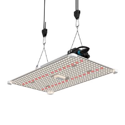 LED Лампа за растеж и цъфтеж LUMii Black Blade 200W