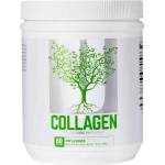Universal Nutrition Collagen Powder / Types 1 and 3 [300 грама] Неовкусен
