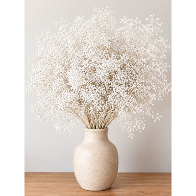 Stabilizovaná mini Gypsophila svazek/kytice bělená 90g-95g