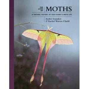 Lives of Moths (ISBN: 9780691228563)