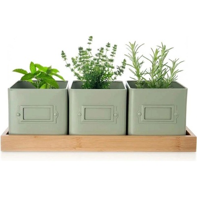 Květináč bylinky GREENISH 11,5x11,5 cm 3 ks+podtácek