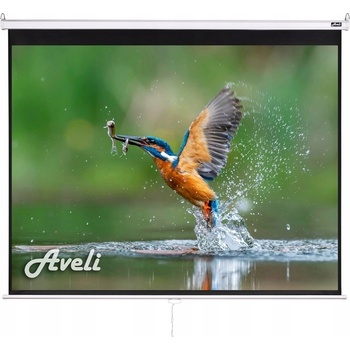 Aveli 240x180cm 4:3 XRT-00107