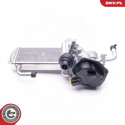 AGR - Ventil ESEN SKV 14SKV154