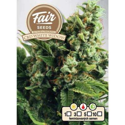 Fair Seeds AUTO CBD White Widow semena neobsahují THC 10 ks