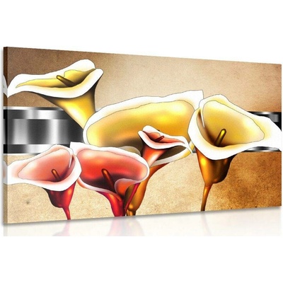 Obraz elegantní květy kaly - 120x80